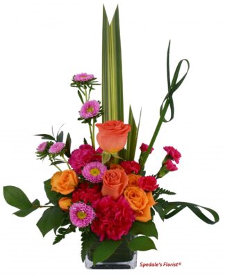 Abella <br><span class="local-delivery-disclaimer" style="text-decoration: none; font-size: 0.5em; color: #FF0000;">• Local Delivery Only</span>