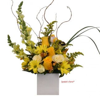 Ana <br><span class="local-delivery-disclaimer" style="text-decoration: none; font-size: 0.5em; color: #FF0000;">• Local Delivery Only</span>