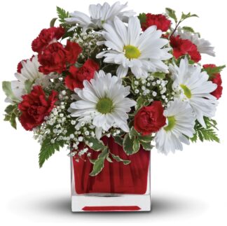 Red And White Delight <br><span class="local-delivery-disclaimer" style="text-decoration: none; font-size: 0.5em; color: #FF0000;">• Local Delivery Only</span>