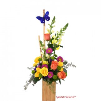 Bamboo Fiesta <br><span class="local-delivery-disclaimer" style="text-decoration: none; font-size: 0.5em; color: #FF0000;">• Local Delivery Only</span>