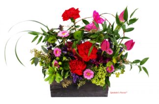 Jazmin <br><span class="local-delivery-disclaimer" style="text-decoration: none; font-size: 0.5em; color: #FF0000;">• Local Delivery Only</span>