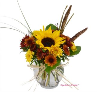 Olivia <br><span class="local-delivery-disclaimer" style="text-decoration: none; font-size: 0.5em; color: #FF0000;">• Local Delivery Only</span>