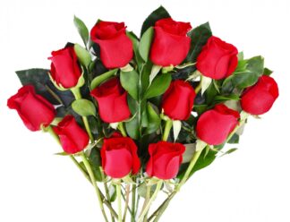 One Dozen Red Roses <br><span class="local-delivery-disclaimer" style="text-decoration: none; font-size: 0.5em; color: #FF0000;">• Local Delivery Only</span>