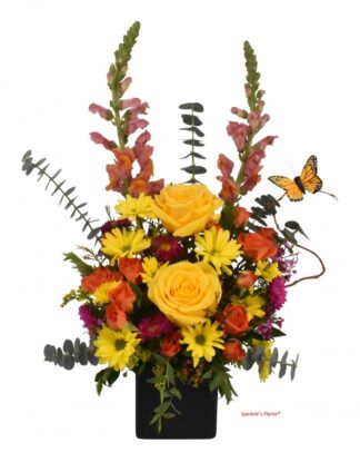 Alicia <br><span class="local-delivery-disclaimer" style="text-decoration: none; font-size: 0.5em; color: #FF0000;">• Local Delivery Only</span>