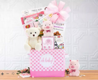 Baby Bundle (Pink) <br><span class="local-delivery-disclaimer" style="text-decoration: none; font-size: 0.5em; color: #FF0000;">• Local Delivery Only</span>