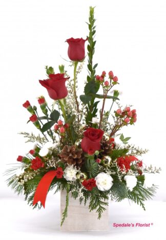 Noel <br><span class="local-delivery-disclaimer" style="text-decoration: none; font-size: 0.5em; color: #FF0000;">• Local Delivery Only</span>