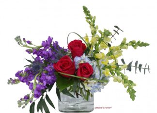 Mali <br><span class="local-delivery-disclaimer" style="text-decoration: none; font-size: 0.5em; color: #FF0000;">• Local Delivery Only</span>