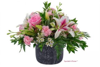 Mariana <br><span class="local-delivery-disclaimer" style="text-decoration: none; font-size: 0.5em; color: #FF0000;">• Local Delivery Only</span>