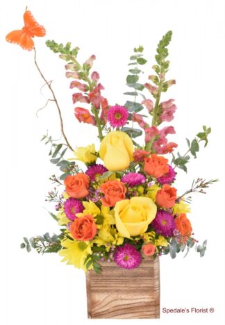 Alice <br><span class="local-delivery-disclaimer" style="text-decoration: none; font-size: 0.5em; color: #FF0000;">• Local Delivery Only</span>