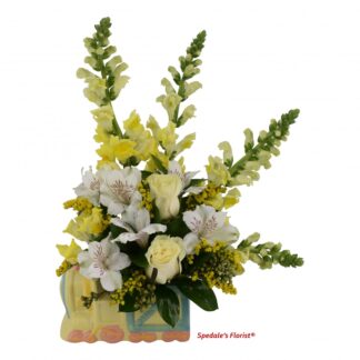 Welcome Baby <br><span class="local-delivery-disclaimer" style="text-decoration: none; font-size: 0.5em; color: #FF0000;">• Local Delivery Only</span>