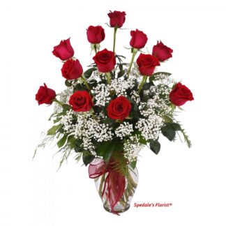 Premium Long Stem Roses