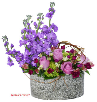 Isla <br><span class="local-delivery-disclaimer" style="text-decoration: none; font-size: 0.5em; color: #FF0000;">• Local Delivery Only</span>