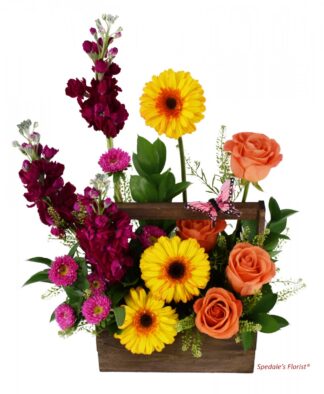 Abigail <br><span class="local-delivery-disclaimer" style="text-decoration: none; font-size: 0.5em; color: #FF0000;">• Local Delivery Only</span>