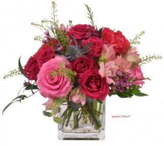 Lizette <br><span class="local-delivery-disclaimer" style="text-decoration: none; font-size: 0.5em; color: #FF0000;">• Local Delivery Only</span>