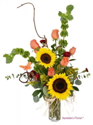 Anna <br><span class="local-delivery-disclaimer" style="text-decoration: none; font-size: 0.5em; color: #FF0000;">• Local Delivery Only</span>