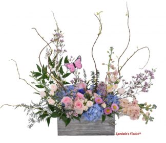 Ashley <br><span class="local-delivery-disclaimer" style="text-decoration: none; font-size: 0.5em; color: #FF0000;">• Local Delivery Only</span>