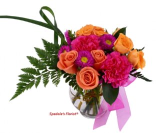 Morena <br><span class="local-delivery-disclaimer" style="text-decoration: none; font-size: 0.5em; color: #FF0000;">• Local Delivery Only</span>