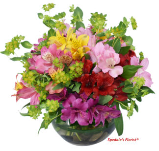 Audrey <br><span class="local-delivery-disclaimer" style="text-decoration: none; font-size: 0.5em; color: #FF0000;">• Local Delivery Only</span>